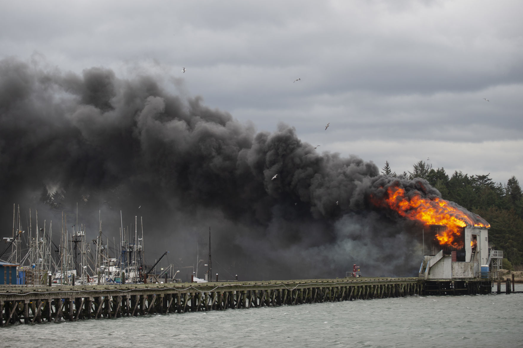 Charleston Ice House Fire